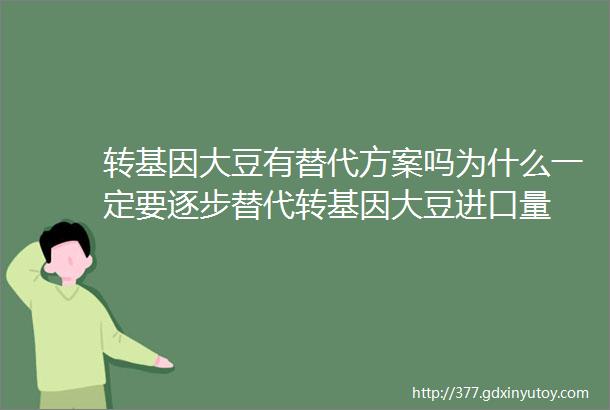 转基因大豆有替代方案吗为什么一定要逐步替代转基因大豆进口量